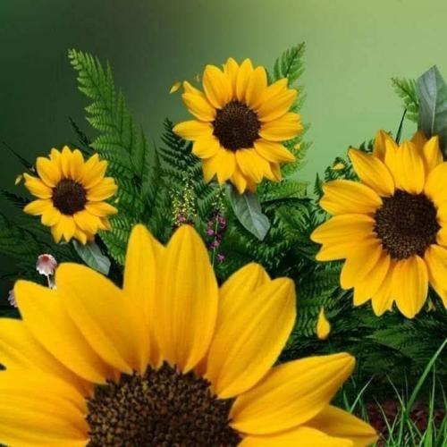 دورم هستش خیلی ولی تو از همه بهتری
