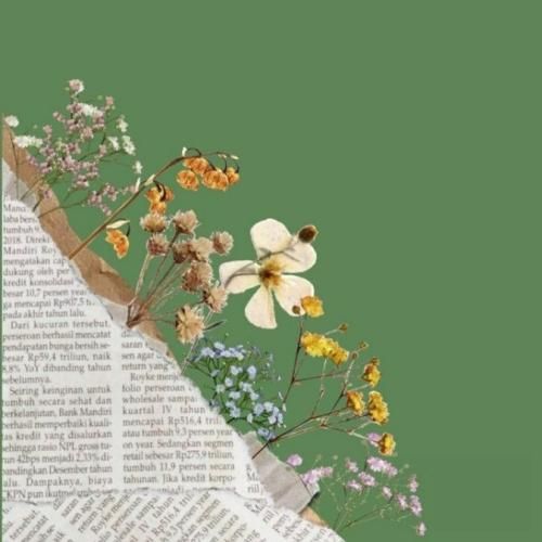 فاطمه عطایی آمده ام