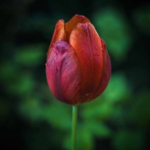  شل شده پیچ و مهرش رسیده اینجا موقعش