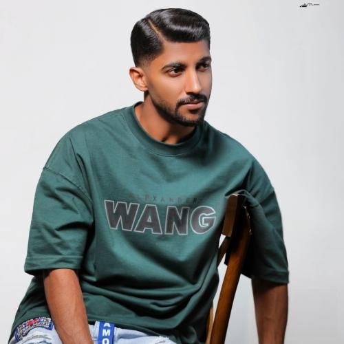 مهرزاد نوازنده کوچ کوچ مکن تو قلبوم