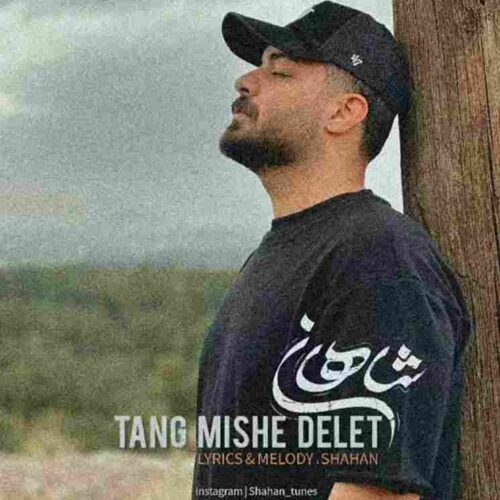 آهنگ جدید تنگ میشه دلت از شاهان