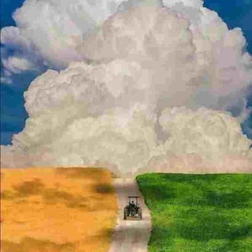 سعید کریمی رو درو دیوار این شهر همش از تو یادگاره