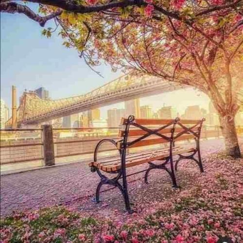 من اگه قیدتو زدم عین تو بدم در گوشم یه صدایی