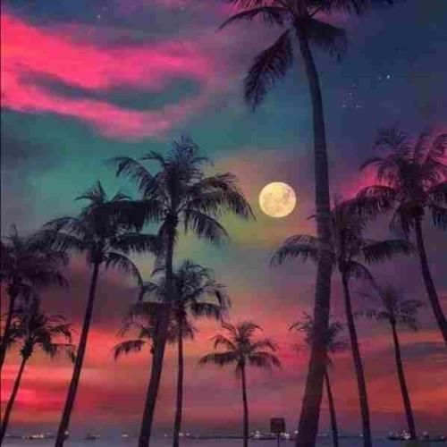 رضا یاری هوا که تاریکو بو دلم ارای تو گری