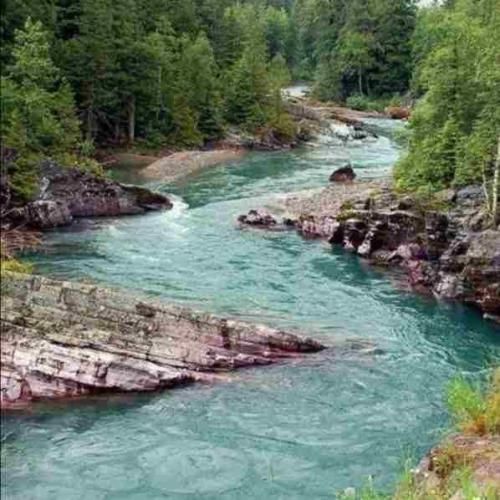  حالش نی برم تو کلو خوبمو دسته گل خونمو