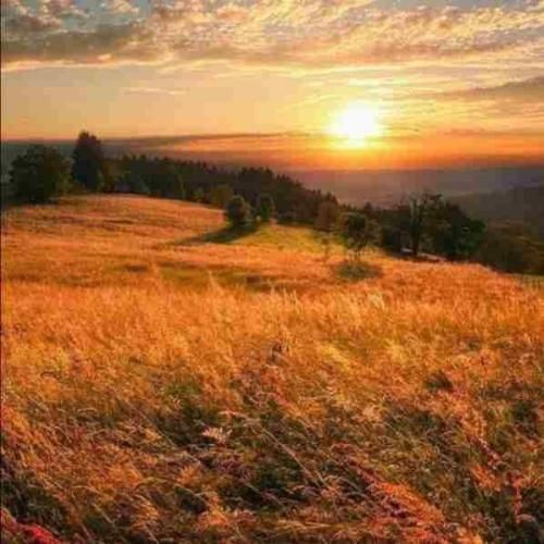  بدجور امشب زده به سَرم جوگیر شدم یه طور احمقانه