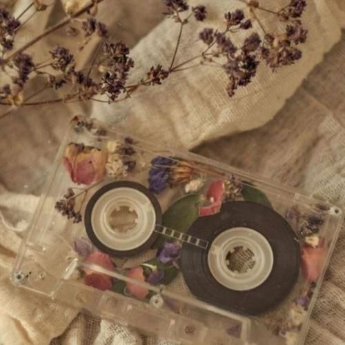  احمق چیکار کردی کشیدی رو سیاهرگ