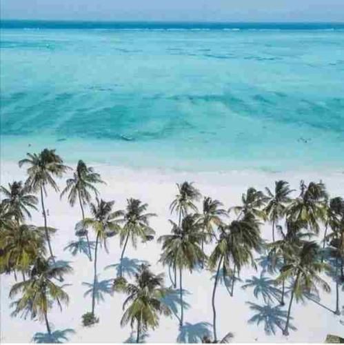 فرهاد هداوند ای ستینم تو که داری زور حکم پادشاه