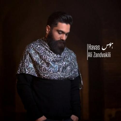 علی زندوکیلی هوس