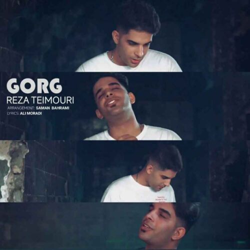 دانلود آهنگ جدید گرگ از رضا تیموری