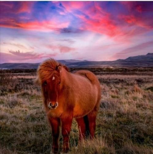  ﺑﻠﻪ رو ﺑﮕﻮ ای ﻳﺎر ﻋﺎﺷﻘﺖ ﺷﺪم ای وای