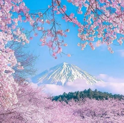  فیسا قشنگ حرفا زشت نمیفهم چیزی از فازش