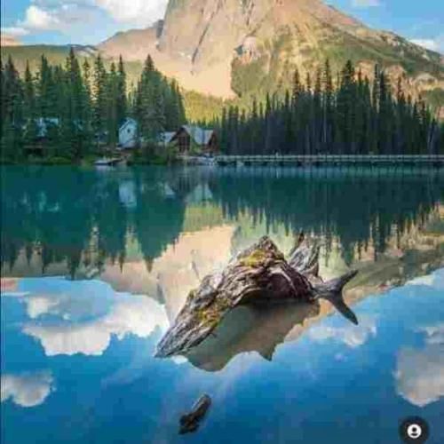  خاو دیدوم گمت کردوم به دنبال تو میگردوم