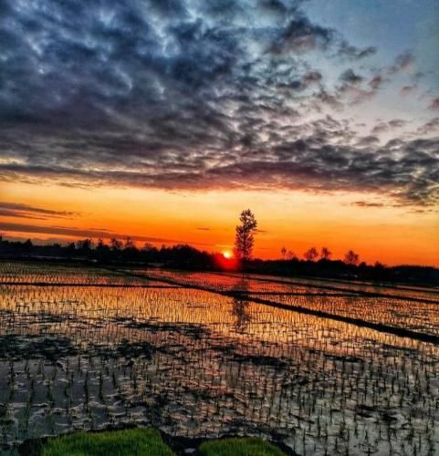  اگه کل دنیا منو پس زدن تو دستمو بگیر از دست نرم