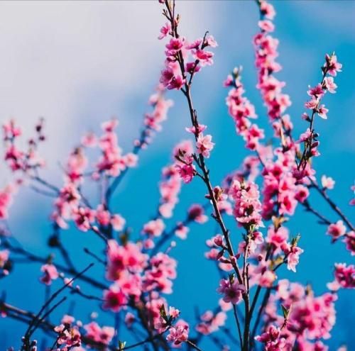  ترکی وقتی نیستی اگه این قلبو روشن کنم با صدای زن