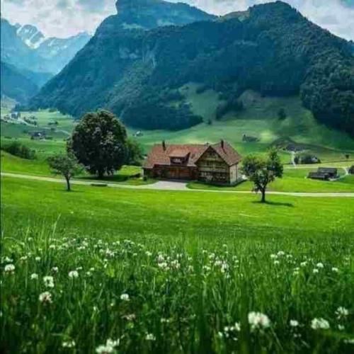  تو بد وضعیتم من نخندی بهم