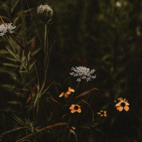  بودم همه شب دیده به ره تا به سحرگاه