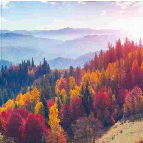  دارم دوست ولی حوصلتو ندارم آخه رو دیگه