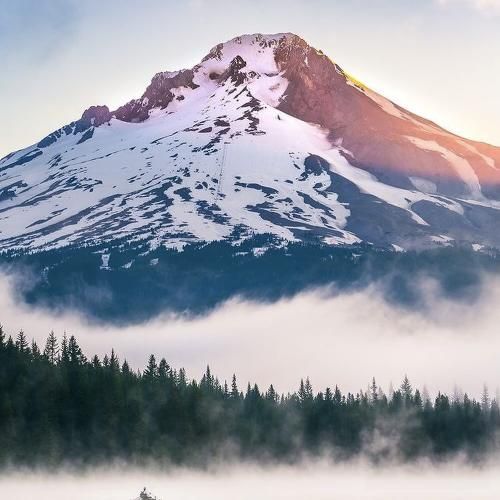  میان به قصد استفاده اینجا کمپ ترک اعتماده