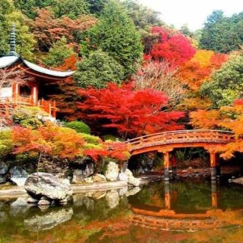  الکی الکی سیگاری شدم