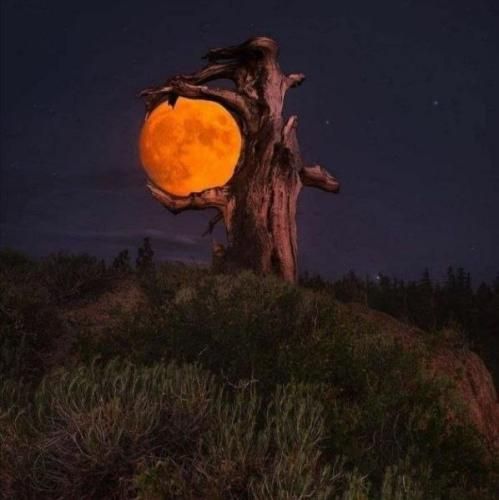  نمیبینم عیب هاتو چرا برمیگردم هی با تو