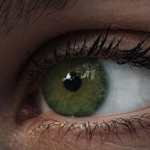 من بزرگ شدم کف خیابون از بچگی کار میکردم