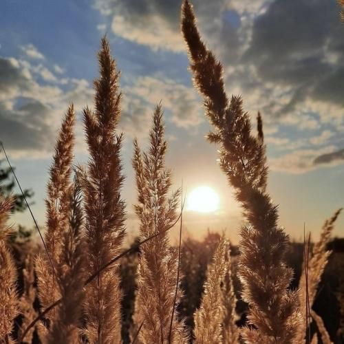 خیلی شبا نیست حال من خوب ولی مجبورم باشم
