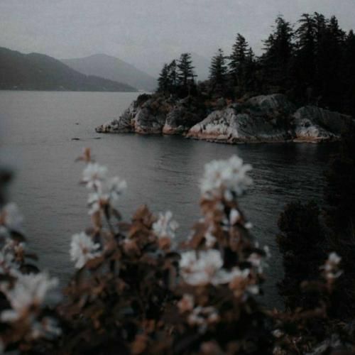 بهرام و علی سورنا سنگسار