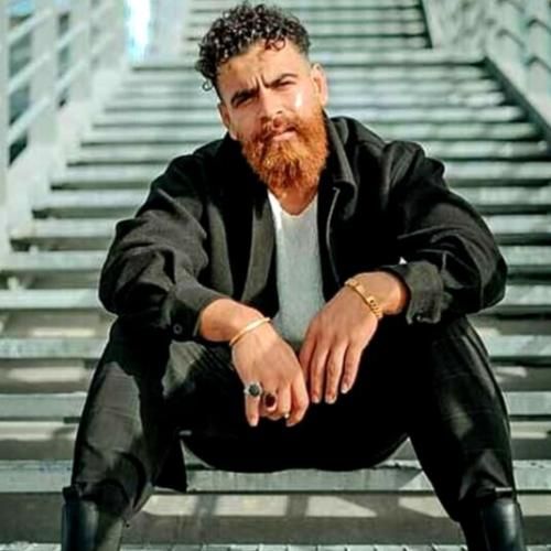 معین زندی ﺷﺪم ﭘﺮﻧﺪه ای ﻛﻪ ﭘﺮﻛﺸﻴﺪن از ﻗﻔﺲ ﺣﺴﺎﺑﻰ ﺳﺨﺘﺸﻪ