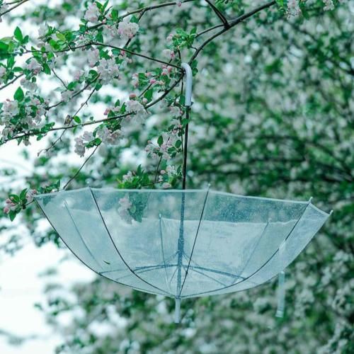 وقتی که گل در نمیاد