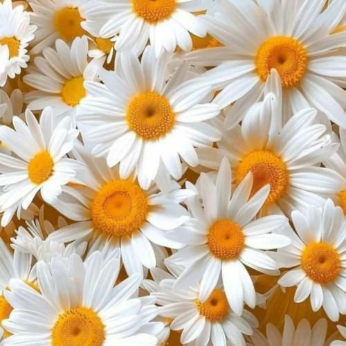 خیلی غریبی واسه من از چه شبی جدا شدی