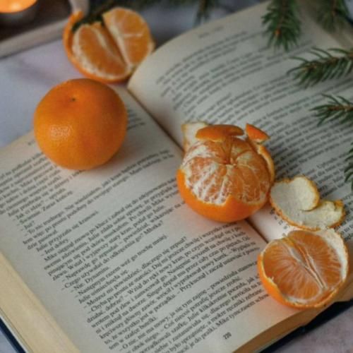 گرگا رد پاها رو میبینن جری میشن رد خونو میگیرن