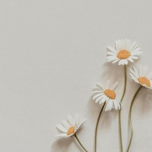 وقتی نیستی زندگی فرقی با زندون نداره