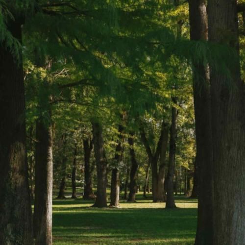 کشتی مرا چه بیم دریاست