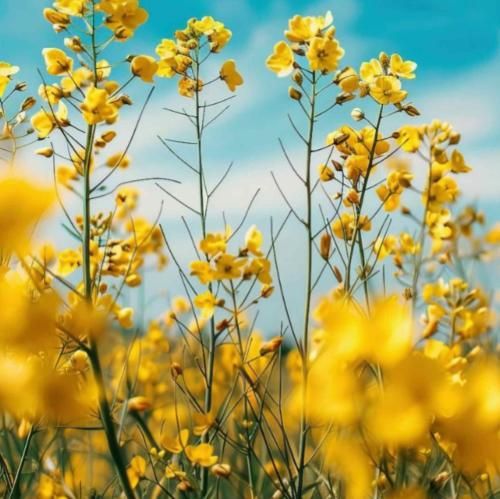 نفسم بودی ولی یه تجربه شدی و بس