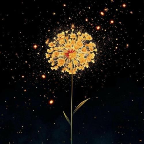 مثل شب مثل شراب تو پر از وسوسه ای