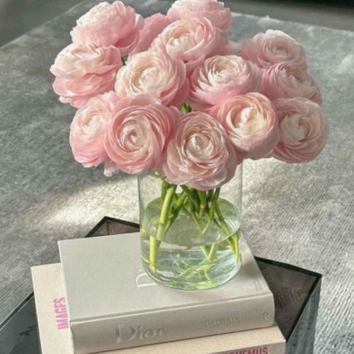 من با تو رویای بودن و عشق آیندهمونو میسازم