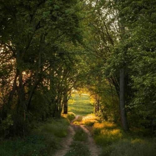 من سلیقم دقیقا شبیه قبل تو بود