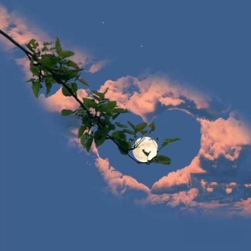  خدا رو شاهد میگیرم با عشق تو جون میگیرم