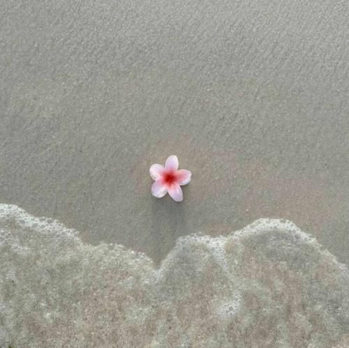  خداوند عاشق فراخوانده ما را