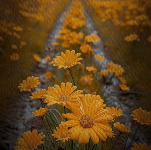 همین دیدار کوتاهه تو هر روز که بعدش حسم کنم – هوش مصنوعی