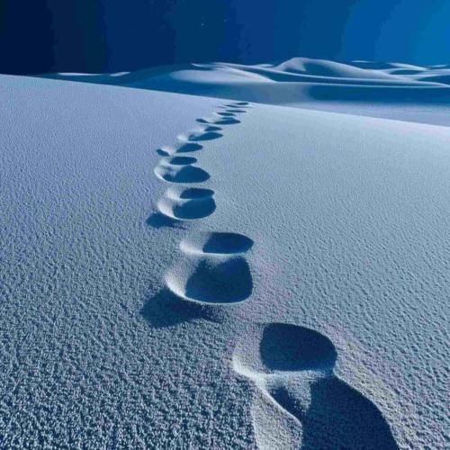 بم میگن بمون نرو بری بَده میگم ما شبو