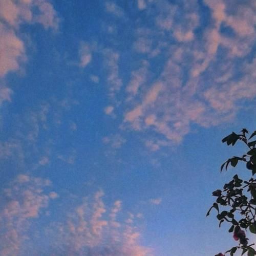 تو این قفس غریبه ستاره بی ستاره سپیده بی سپیده