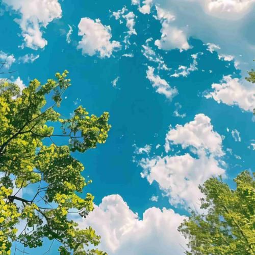 کاشکی دلم غصه یه پنهون نداشت