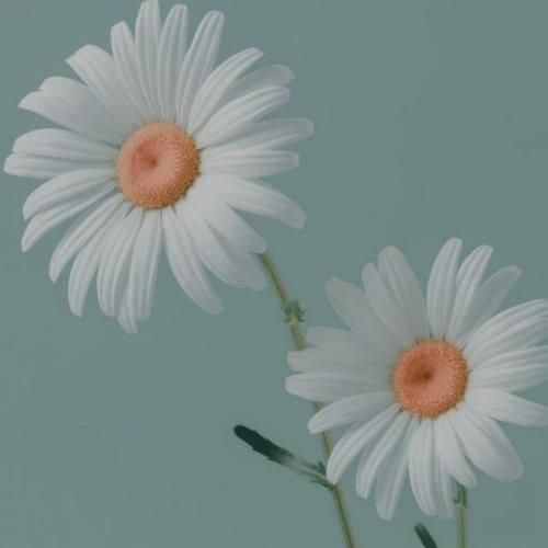 آتیش فوتش کن آتیش فوتشو ندارم