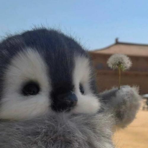 دلم نمیخواست ولی از پس همه چی تنهایی برام