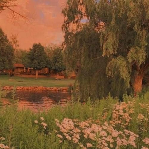  ﻏﺮﻏﺮه ﻛﺮدم ﻳﺠﻮری ﻣﻴﺘﺮﻛﻮﻧﻴﻢ ﻛﻪ ﺑﻴﺎد زﻟﺰﻟﻪ ﻟﻨﺪن