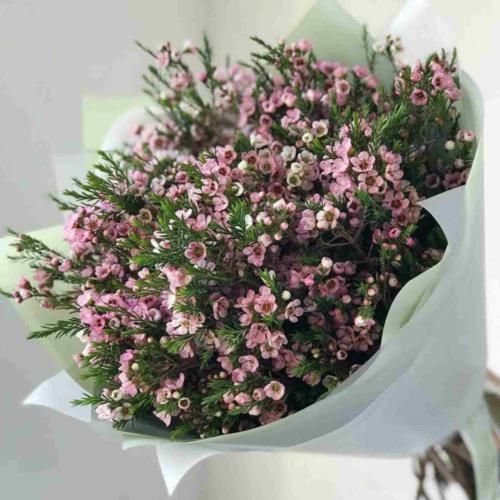  سریع قلبت شکست کی قدر من درکت میکرد