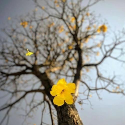  آخه این حالو ببین من دیوونه همین ثانیه واست – هوش مصنوعی