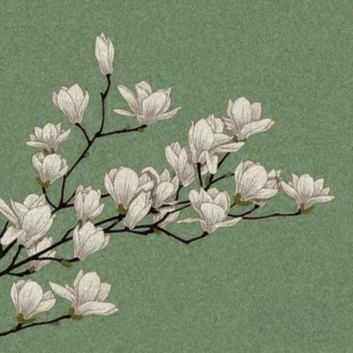  تو مثل شهر کوچیک من هنوز برام خاطره سازی